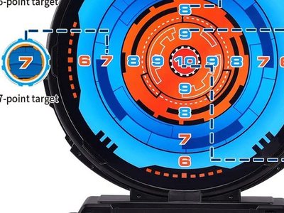 The scoring rings, marked 6 to 10 points